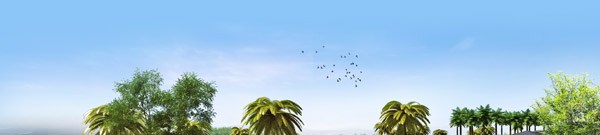 Você vai se surpreender com as melhorias da Riviera de Santa Cristina XIII. 