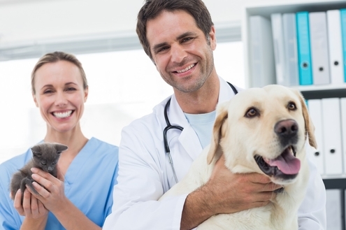 Mundo Pet: atenção à saúde mental deles