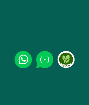 Siga o canal do Ninho Verde I no WhatsApp