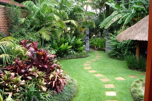 Jardim com estilo tropical