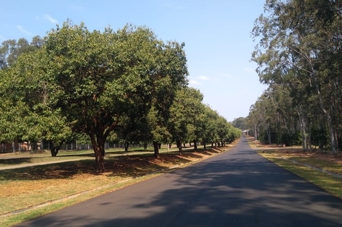 Obras de pavimentação no Santa Bárbara estão perto da conclusão