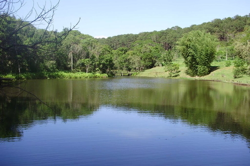 Floresta Estadual Manduri