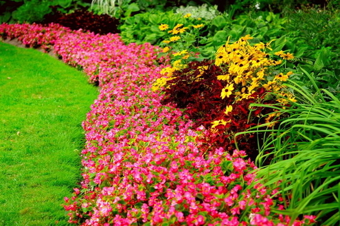 Jardins com cores fortes