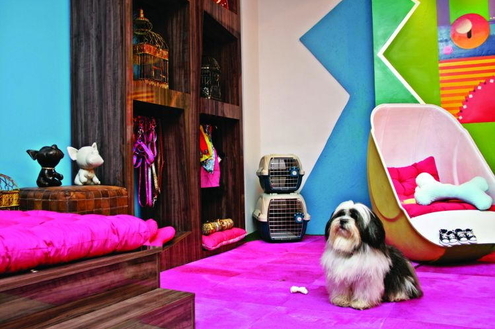 Como decorar o cantinho do pet