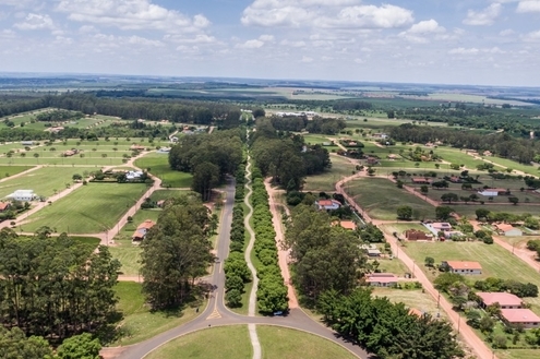 Fruta encontrada no Santa Bárbara é matéria prima para famosa caipirinha de proprietário